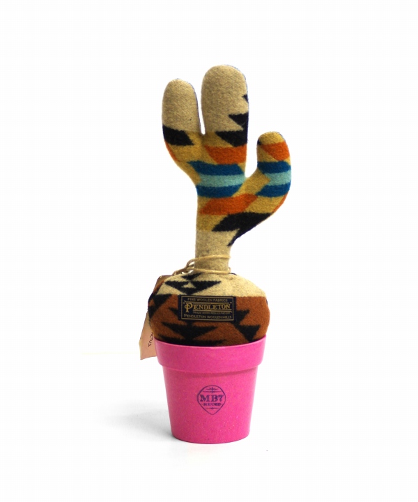 LITTLE CACTUS - B
