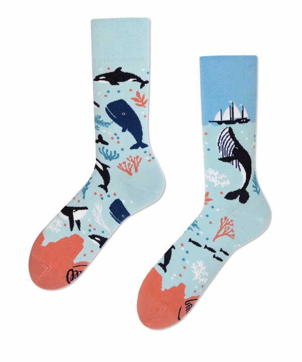 Ocean Life