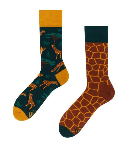 The Giraffe