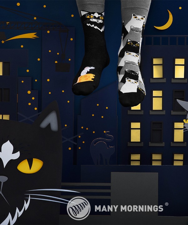 Black Cat